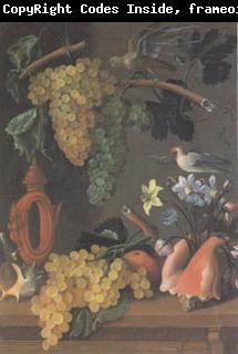 Juan de  Espinosa Still Life with Grapes (san 05)